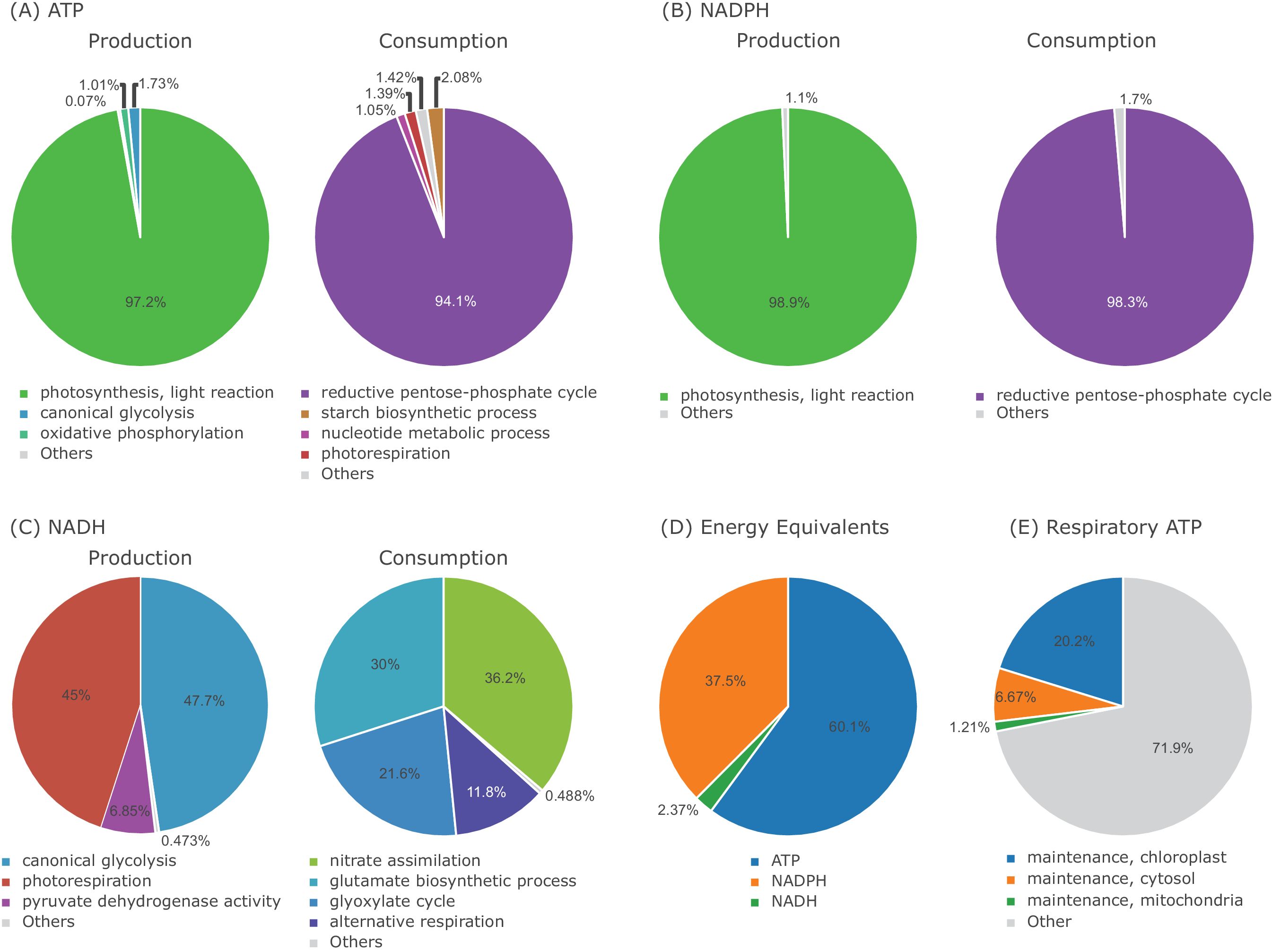 Evolution Of C4 Photosynthesis Predicted By Constraint Based Modelling Elife