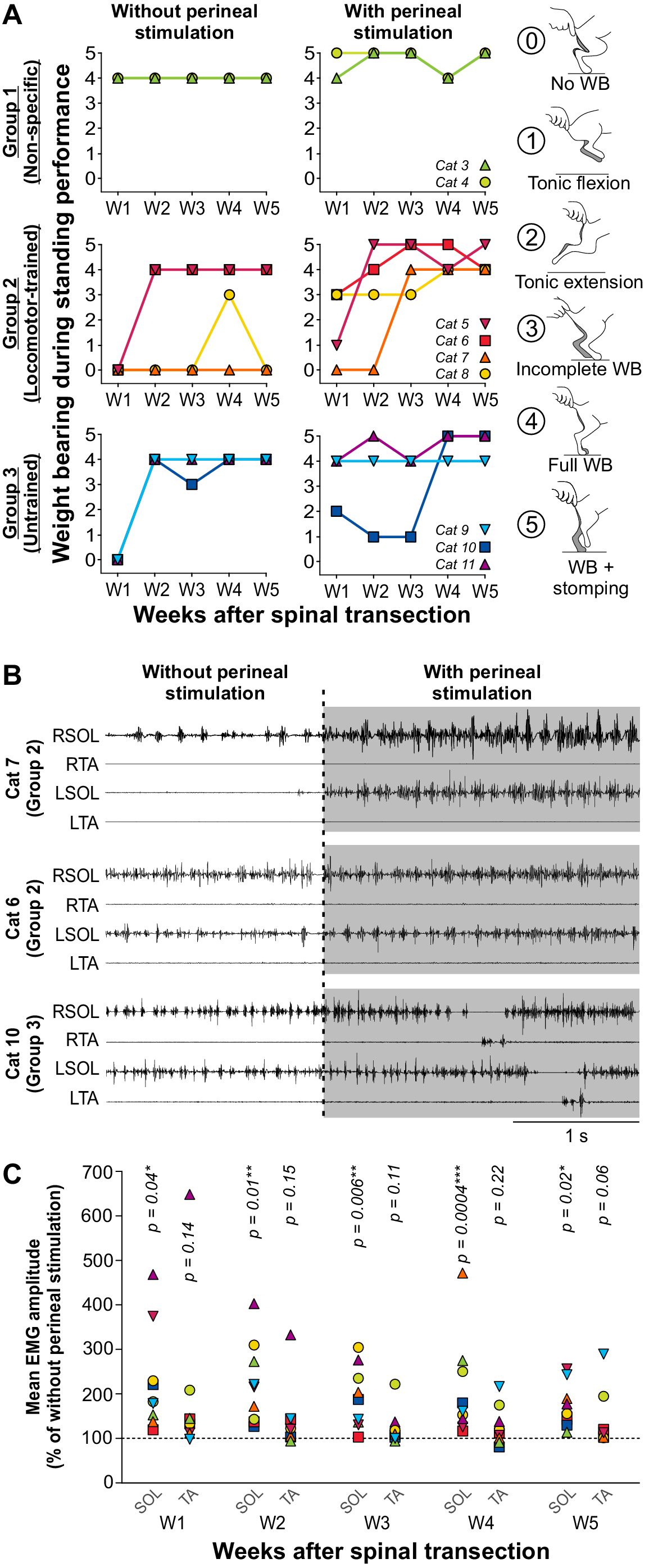 The Recovery Of Standing And Locomotion After Spinal Cord Injury Does Not Require Task Specific Training Elife