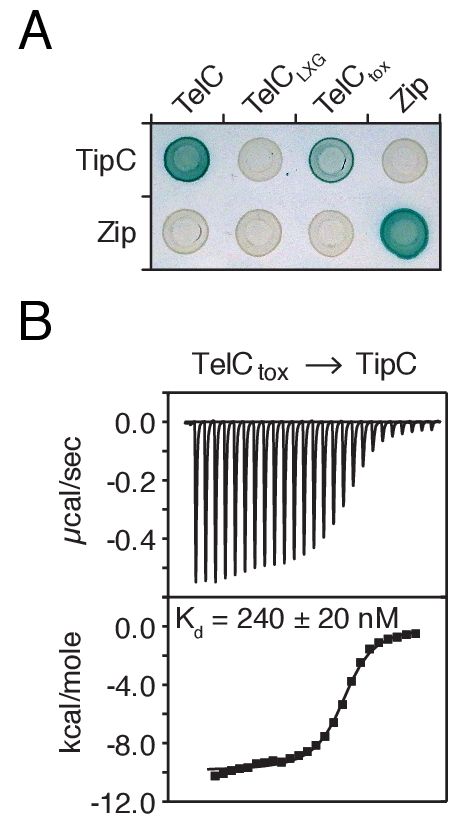 Focus T25 Free Download Zip Focus T25 Free Download Zip